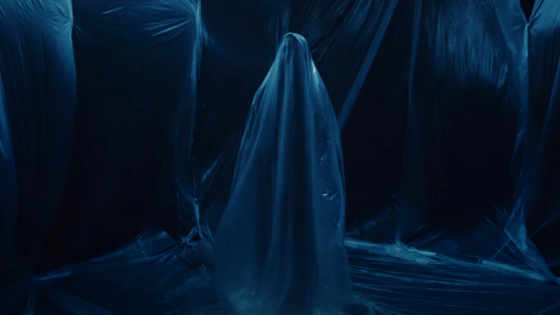 Flat Erik regresa "Dataista"